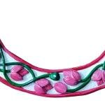 DHALI HOUSE Lotus Design Hasuli Clay Jewelry Set | Handmade Cotton Thread Necklace with Matching Earrings | Traditional Indian Artificial Jewelry for Women and Girls (Pink)